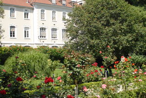 Jardin des Plantes