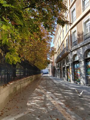 Collecte de regards photographiques 2019 : les espaces publics